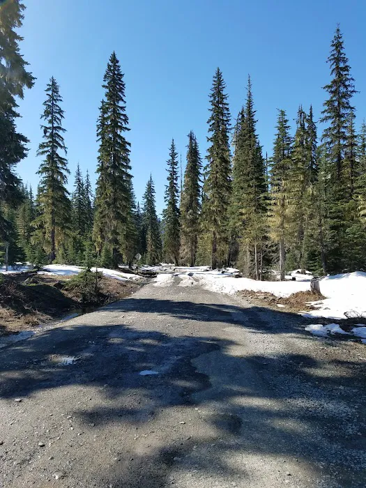 Scatter Creek Campground Picture 2