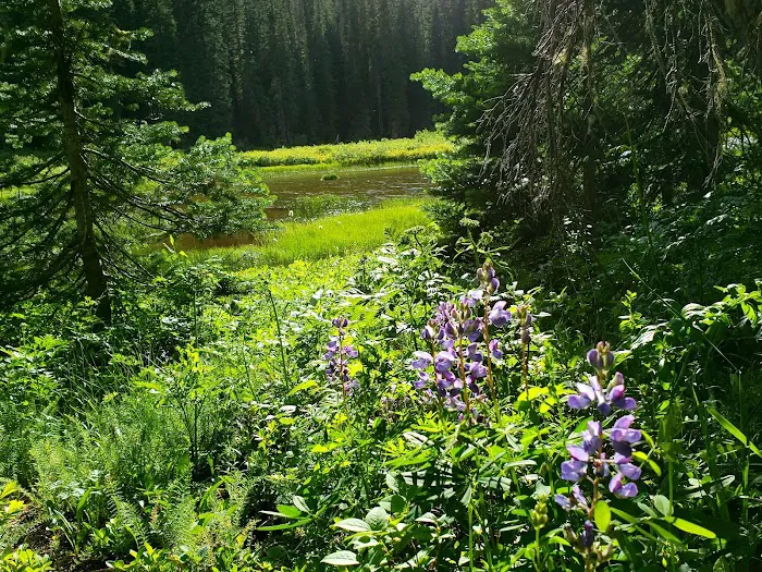 Fish Lake Campground Cle Elum Picture 10