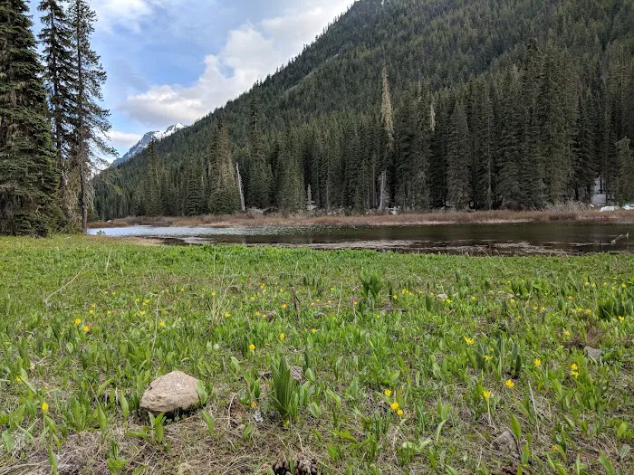 Fish Lake Campground Cle Elum Picture 7