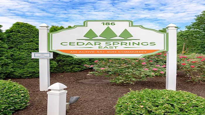 Cedar Springs Picture 4