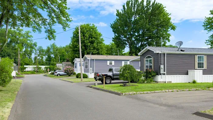 Cedar Springs Picture 5