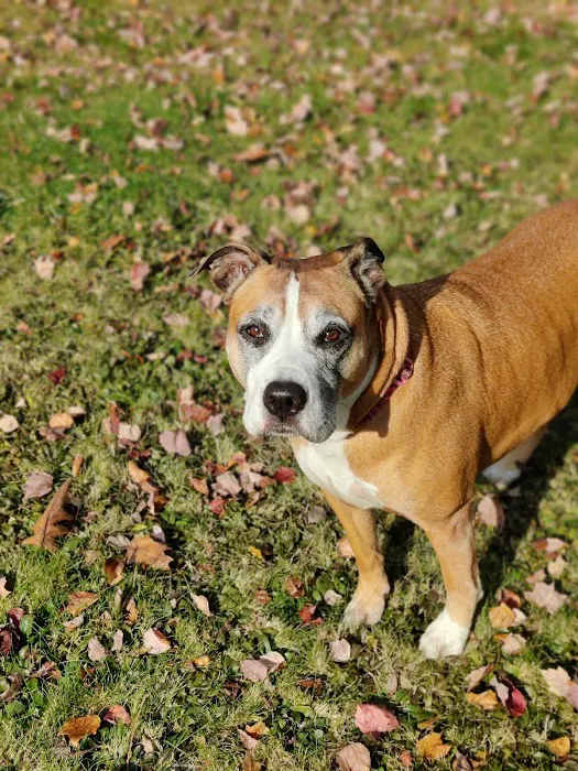 Three Gardens Picture 4