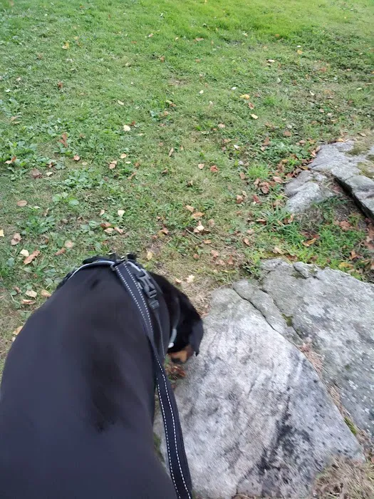 Three Gardens Picture 7