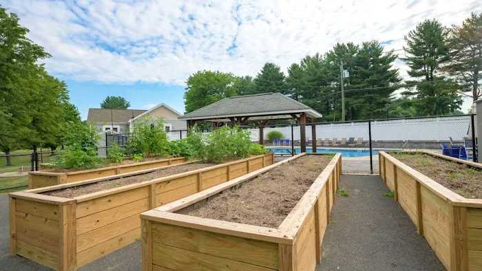 Forest Hill Picture 8