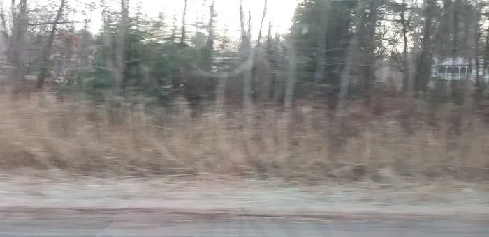 Apple Valley Village Picture 3