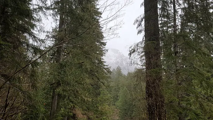 Troublesome Creek Campground Picture 7