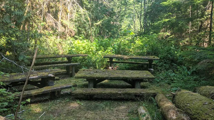 Troublesome Creek Campground Picture 3