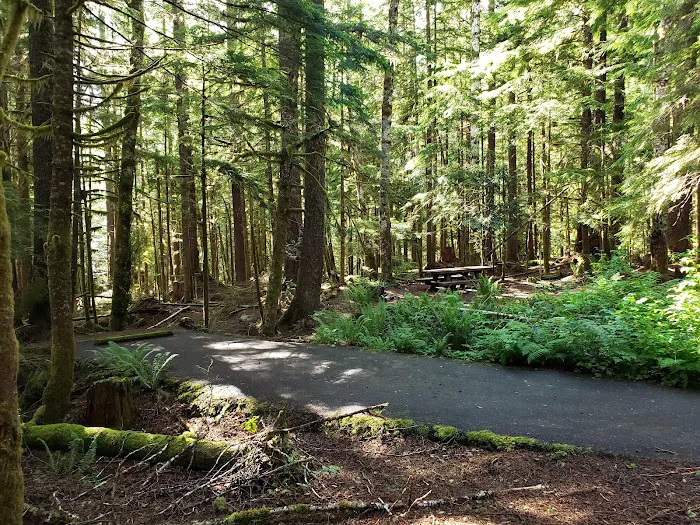 Troublesome Creek Campground Picture 4