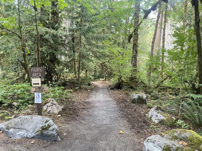 Money Creek Campground Picture 5