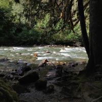 San Juan Campground ico
