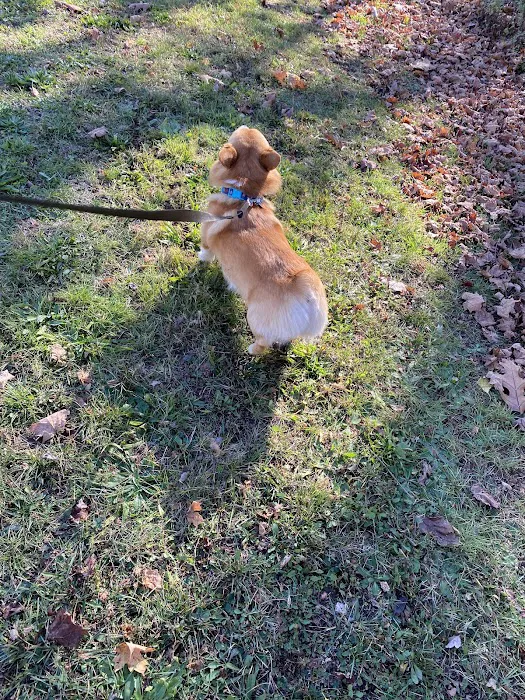 Totoket Valley RV Park Picture 8