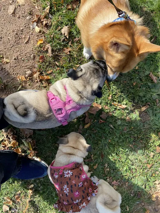 Totoket Valley RV Park Picture 9