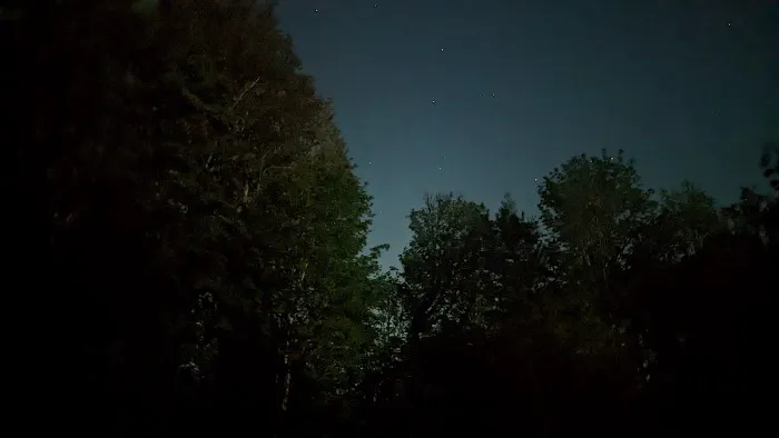 Prancing Unicorn Picture 1