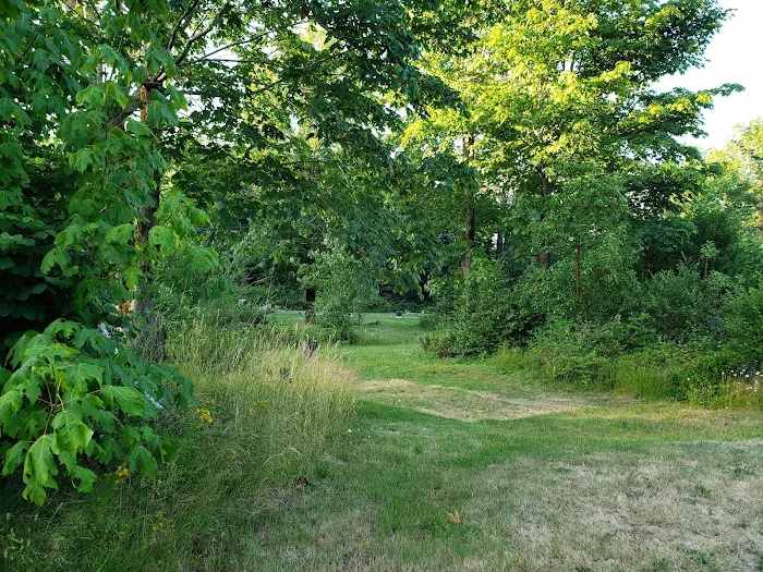 Prancing Unicorn Picture 3