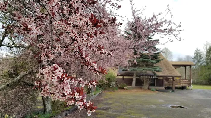 Prancing Unicorn Picture 9