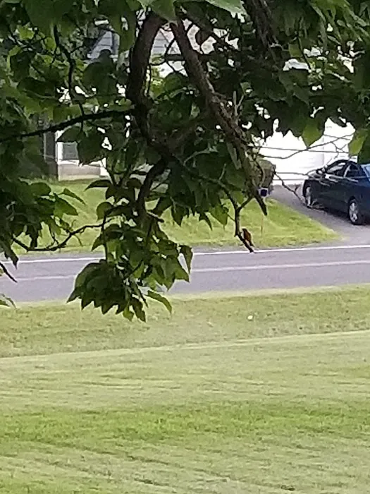 Dutcher Mobile Home Park Picture 4