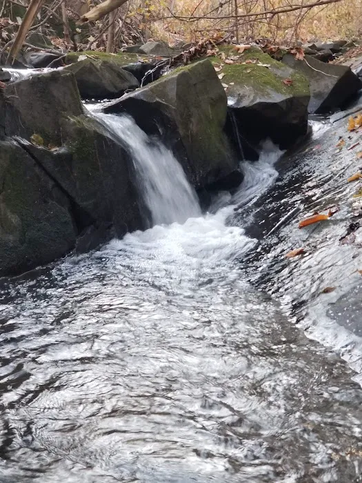 Dutcher Mobile Home Park Picture 6