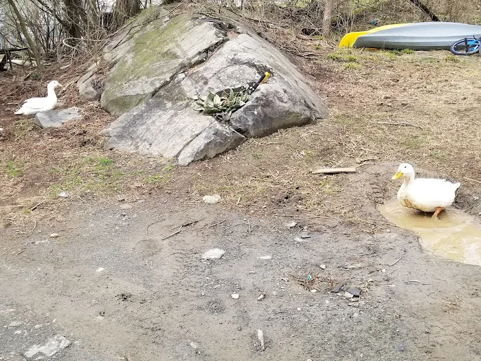 Dutcher Mobile Home Park Picture 3