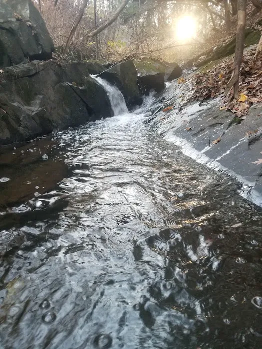 Dutcher Mobile Home Park Picture 1