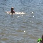 Millersylvania State Park Campground