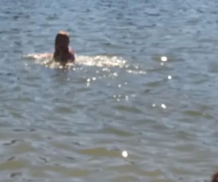 Millersylvania State Park Campground