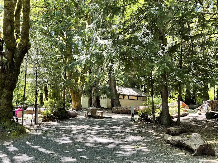 Potlatch State Park Campground Picture 5