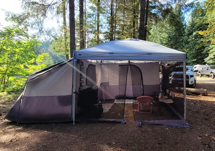 Potlatch State Park Campground Picture 9