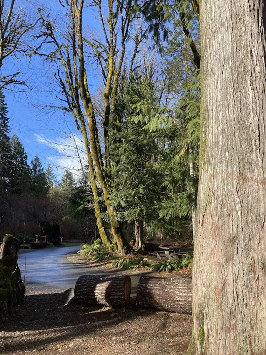 Potlatch State Park Campground Picture 7