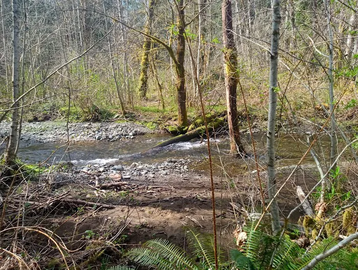 Dow Creek RV Resort Picture 6