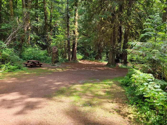 Dow Creek RV Resort Picture 8