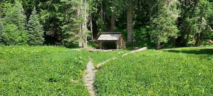 Camp Handy Picture 4