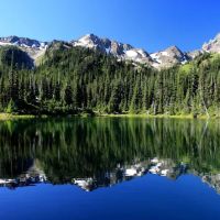 Royal Lake ico