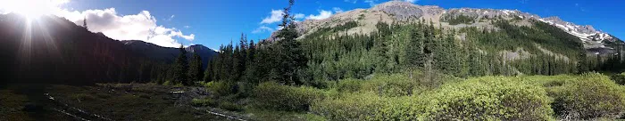 Lower Royal Meadow Picture 7