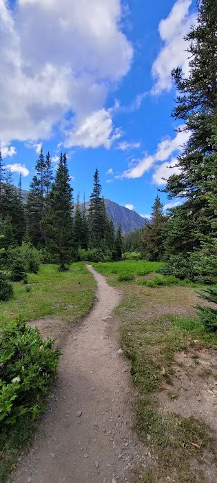 Lower Royal Meadow Picture 5
