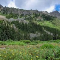 Lower Royal Meadow ico