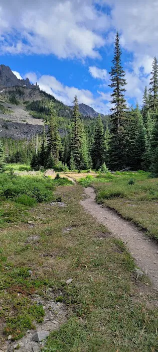 Lower Royal Meadow Picture 2