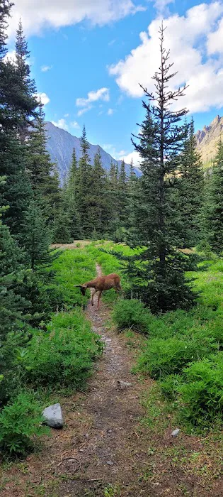 Lower Royal Meadow Picture 3