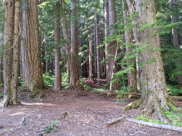 Big Timber Picture 7