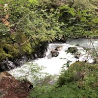 Big Timber ico