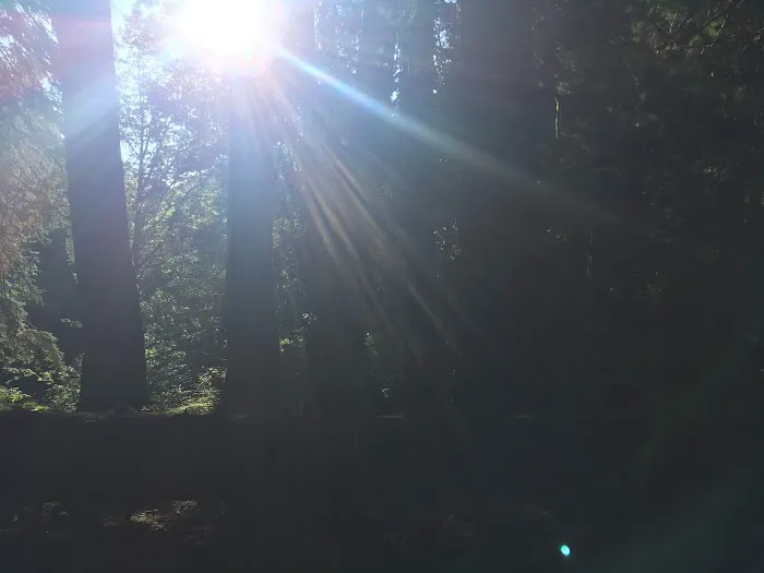 Big Timber Picture 9