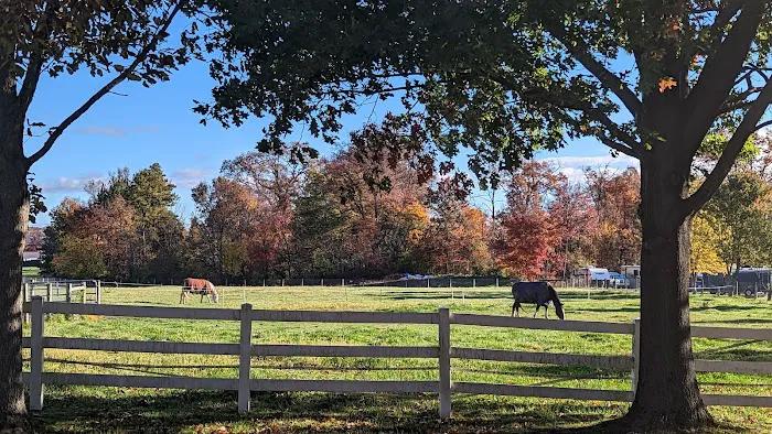 Oak Grove Park & Sales Picture 7