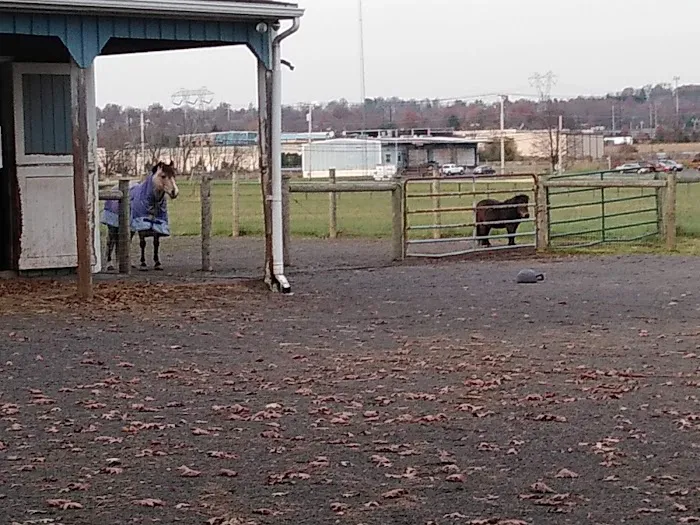 Oak Grove Park & Sales Picture 10