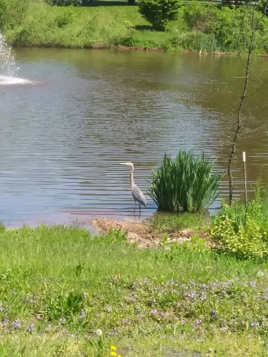 Walnut Meadows Picture 8