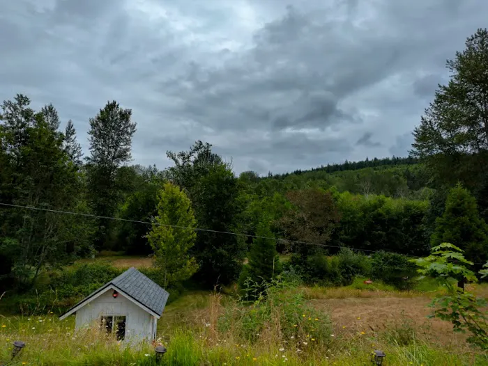 queen bee camping Picture 3