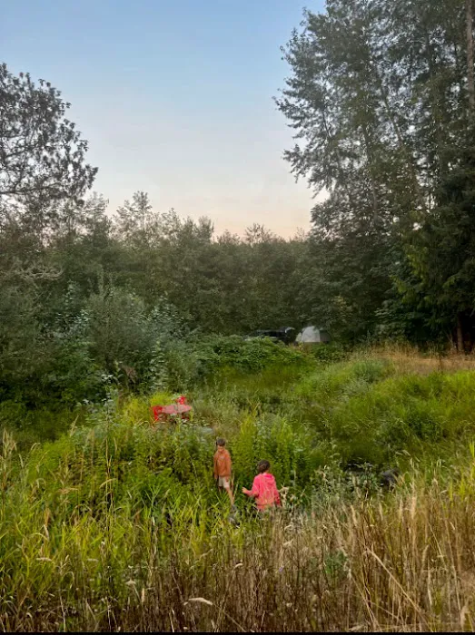 queen bee camping Picture 6