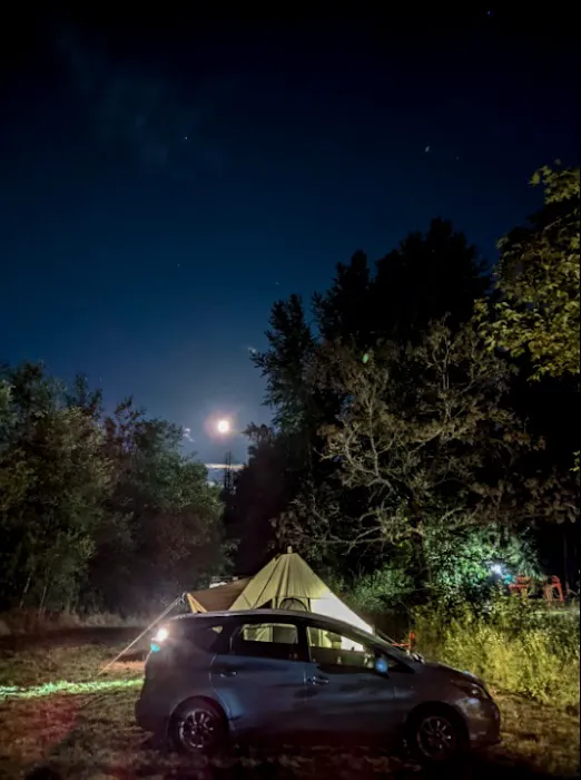 queen bee camping Picture 1