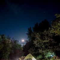 queen bee camping ico