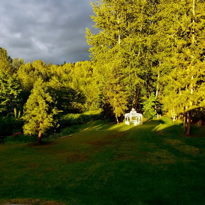 queen bee camping Picture 5