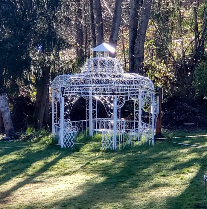 queen bee camping Picture 7