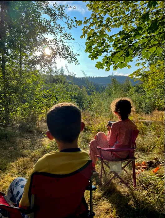 queen bee camping Picture 10